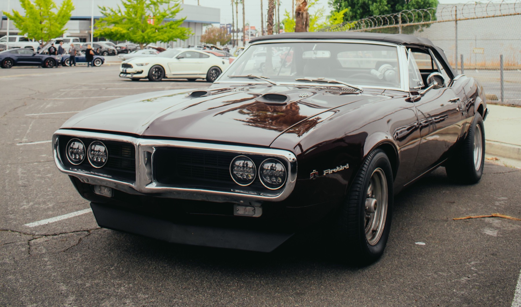 Rare vintage Pontiac Firebird convertible fully visible